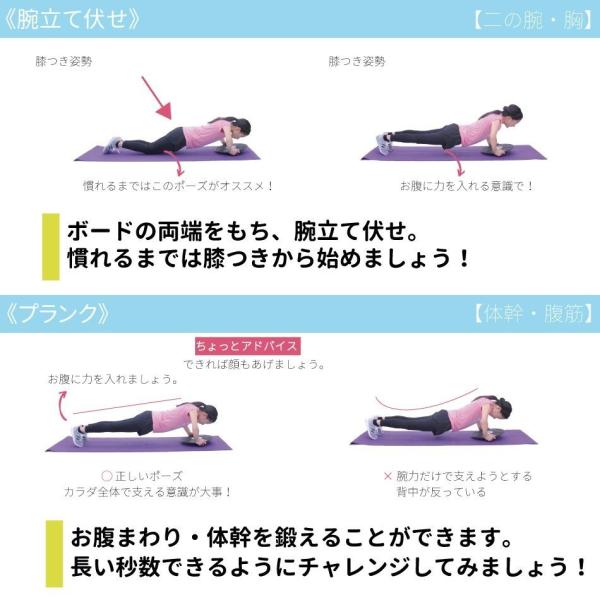 バランスボード バランスディスク シェイプアップ 体幹 トレーニング エクササイズ コア マッスル ダイエット 直径36cm 送料無料 Buyee 日本代购平台 产品购物网站大全 Buyee一站式代购 Bot Online