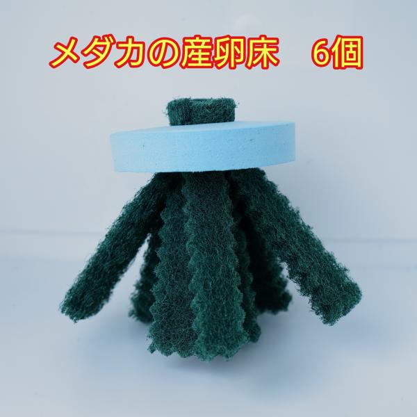 メダカの産卵床 6個