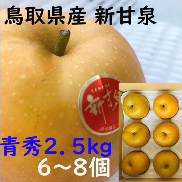 新鮮です‼️贈答用　新甘泉　３キロを二箱 梨 秀品 新甘泉 予約 3kg 8~10玉入 鳥取県産 しんかんせん 贈答
