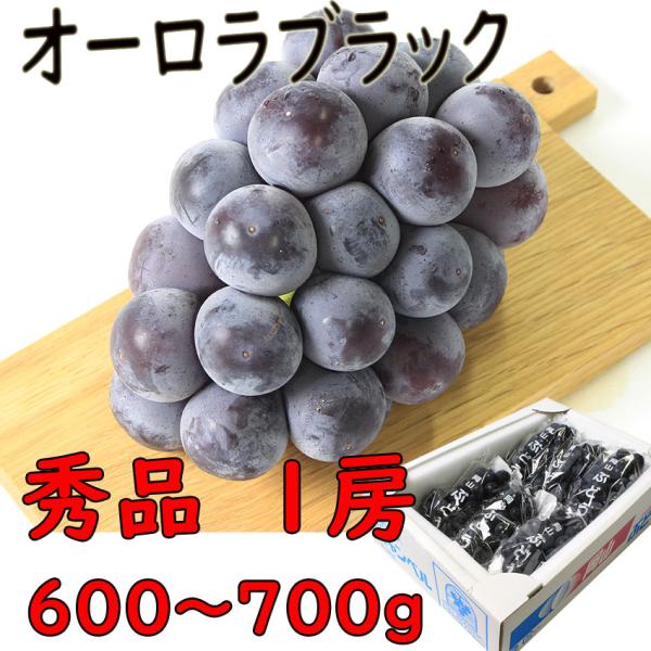 オーロラブラック　岡山県産　秀品　1房　６００〜７００ｇ　贈答用　ギフト　プレゼント　化粧箱入り　日付指定ＯＫ　指定日OK　