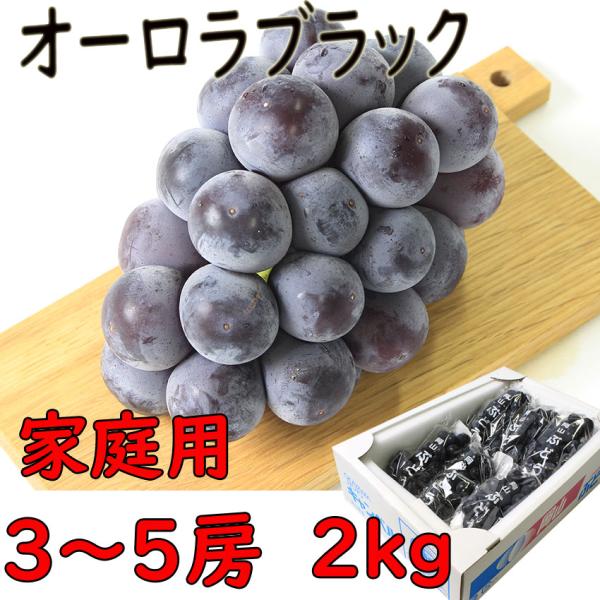 訳あり　オーロラブラック　岡山県産  約2kg　３〜５房　家庭用　ぶどう　種無し葡萄　フルーツ　果物　指定日OK　日付指定ＯＫ