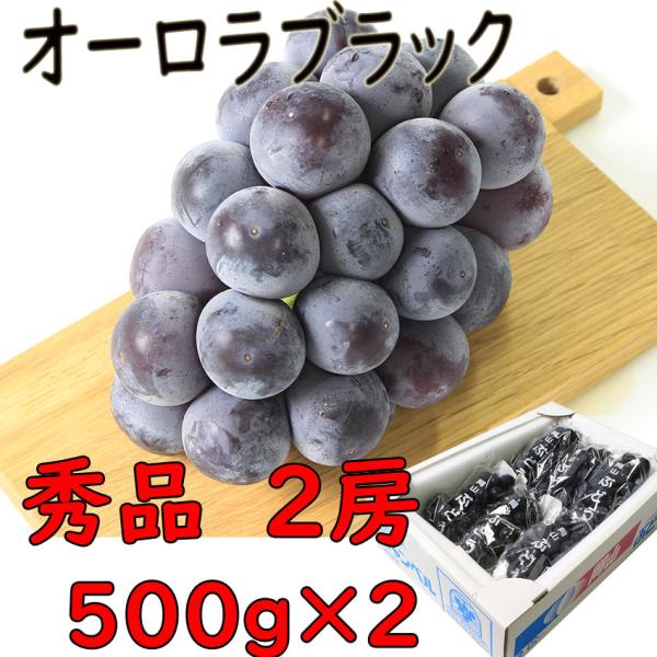 オーロラブラック 岡山県産 500ｇ×２ 秀品　贈答用 プレゼント ギフト 化粧箱 指定日OK 日付指定ＯＫ ぶどう 葡萄
