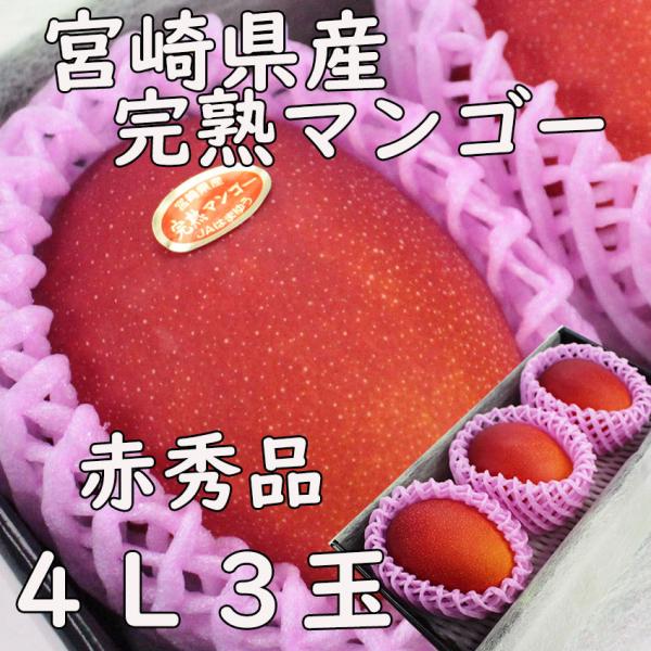 完熟マンゴー 宮崎県産 4L 3玉 父の日 のし 熨斗 赤秀品