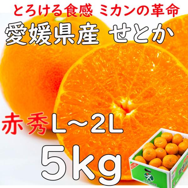 fleshchokusoubin_mikan-setoka- fleshchokusoubin_mikan-setoka-