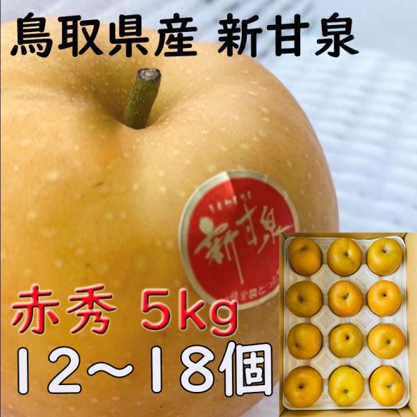 新甘泉 梨 贈答 赤秀品 5kg 12〜１８玉  鳥取県産 JA 鳥取中央 甘い 赤梨 日付指定ok ギフト プレゼント 御礼 お礼 のし 熨斗対応
