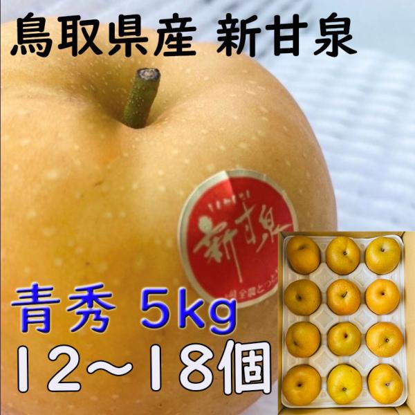 新甘泉 梨 贈答 青秀品 5kg 12〜１８玉  鳥取県産 JA 鳥取中央 甘い 赤梨 日付指定ok ギフト プレゼント 御礼 お礼 のし 熨斗対応