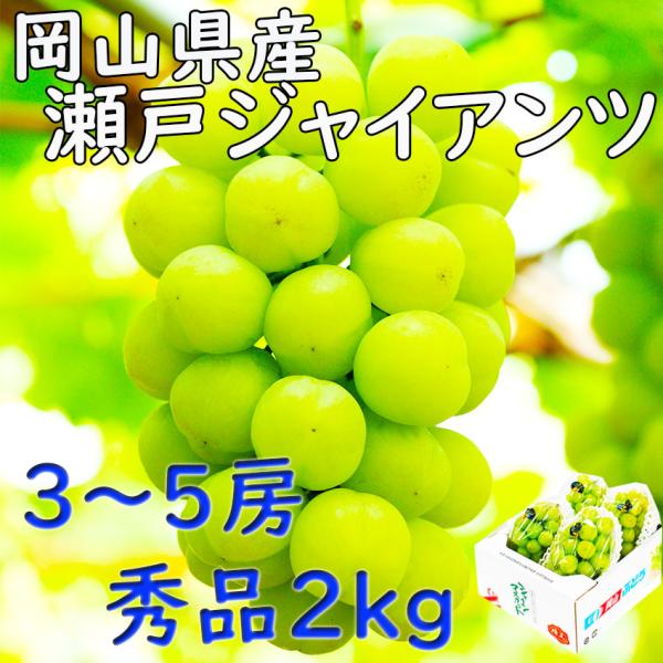 瀬戸ジャイアンツ 岡山県産 ぶどう 秀品 2kg ３〜５房 種無し JA 農協 ギフト 贈答 プレゼント 誕生日 御供 お彼岸 お見舞い