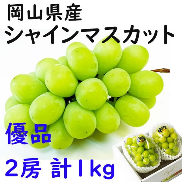 シャインマスカット 岡山 優品 ２房 計1kg お中元 家庭用 ギフト プレゼント  お見舞い 御供 日付指定ok 指定日OK