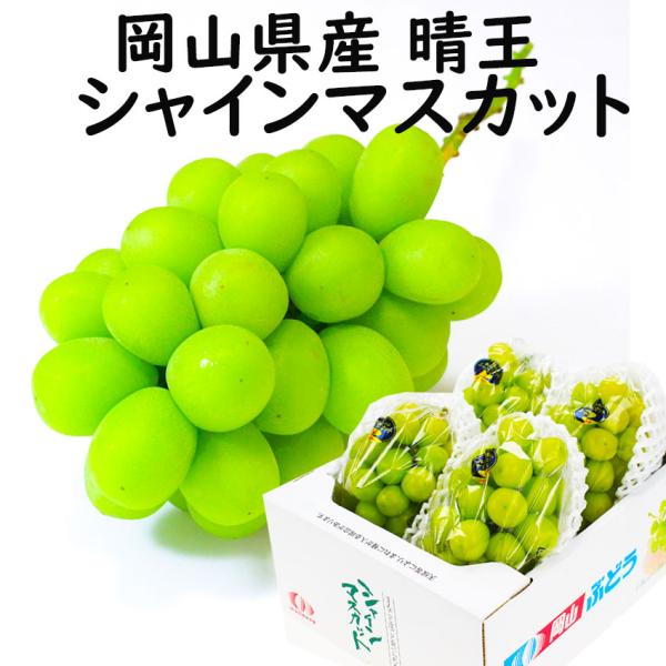 シャインマスカット 岡山県産 晴王 約2kg 3〜5房 家庭用 お中元 訳あり JA  熨斗 のし ギフト プレゼント 御礼  日付指定OK 指定日OK   ふどう