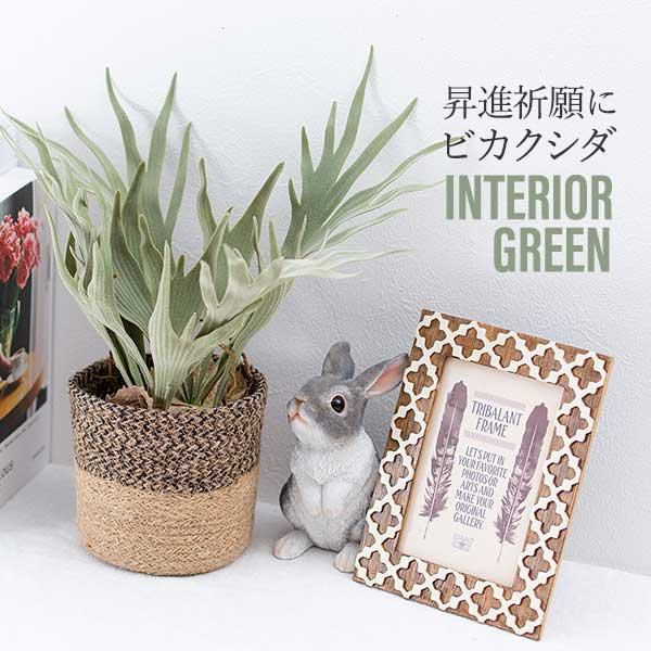 コウモリラン ビカクシダ ポットアレンジ 鉢カバー付 フェイクグリーン