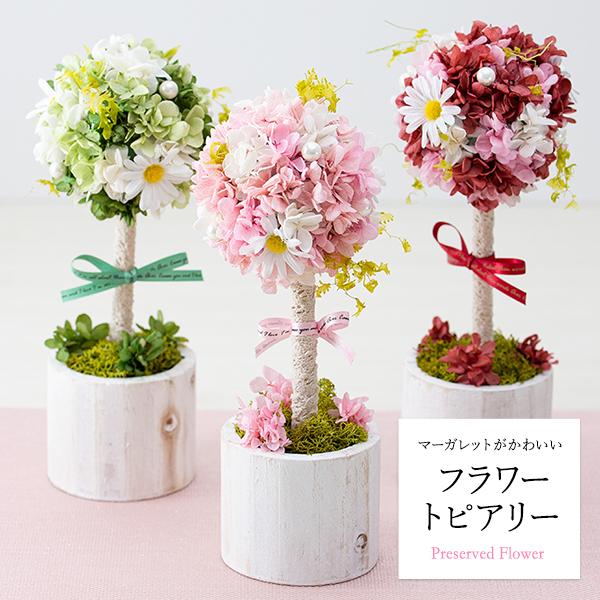 プリザーブドフラワー マーガレットがかわいいフラワー プリザーブドフラワー マーガレットがかわいいフラワー
