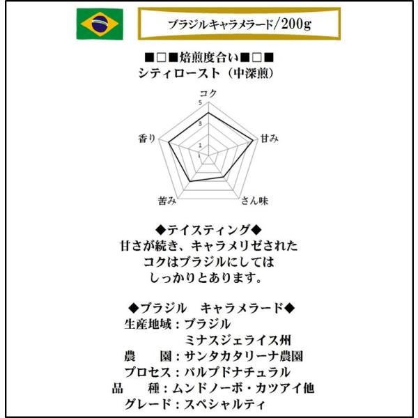 自家焙煎コーヒー ブラジル キャラメラード ２００ｇ コーヒー豆 シティロースト 中深煎 Buyee Buyee 日本の通販商品 オークションの代理入札 代理購入