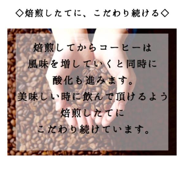 自家焙煎コーヒー ブラジル キャラメラード ２００ｇ コーヒー豆 シティロースト 中深煎 Buyee Buyee 日本の通販商品 オークションの代理入札 代理購入