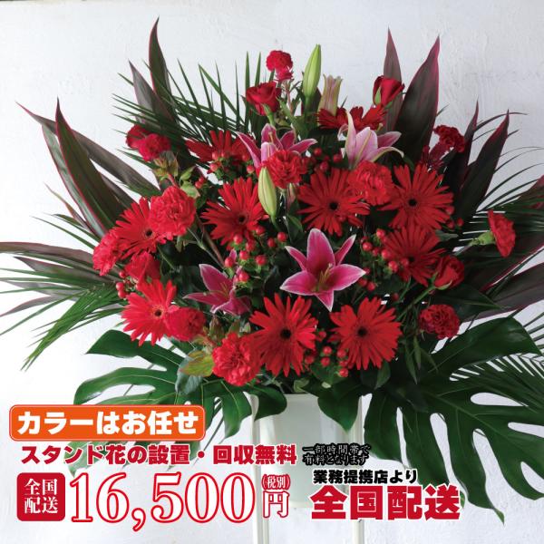 【商品説明】開店開業などのお祝いに、リーズナブルでハイセンスでゴージャスなスタンド花です開店祝いの他にも、発表会や竣工祝、出演祝などにもご利用いただけるハイセンスなスタンド花となります。【色】色はお任せとなります。色をお選びいただけない分、...