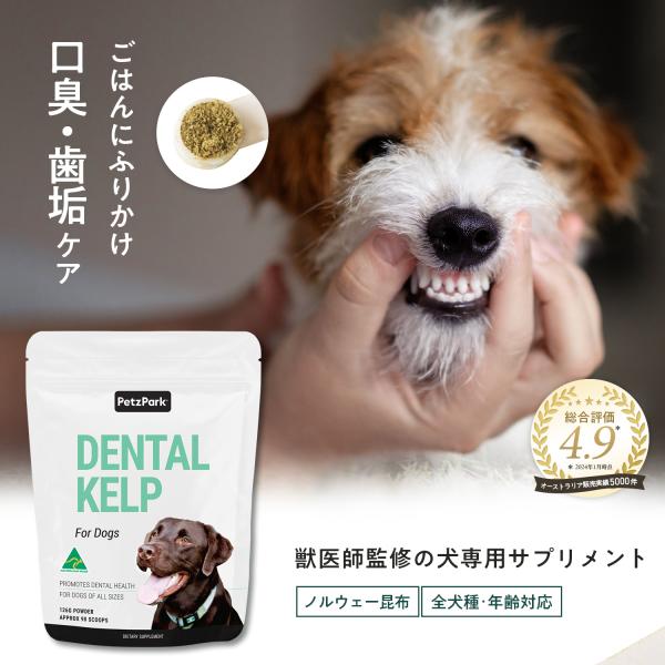 犬用サプリ 虫歯予防 口臭 口腔衛生 歯石 歯垢 ペッツパーク プラークコントロール デンタルケルプ