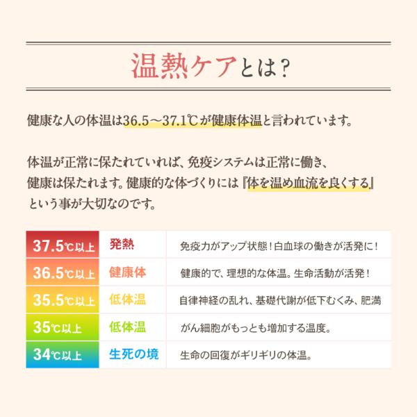 ホルミシス美温 ラジウム温熱器 41rtEWaGs1L._UF350,350_QL50_.jpg