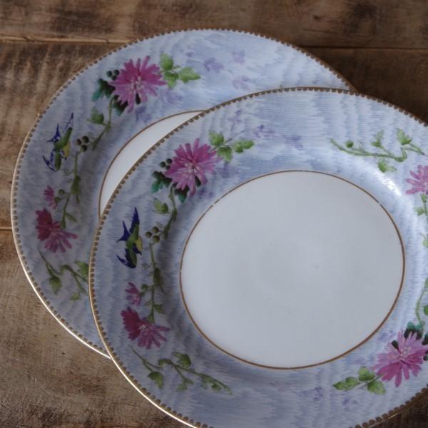 2枚セット アンティーク 食器 Shelley シェリー デザートプレート ケーキ皿 ブルー つばめ 鳥 花柄 1214 Shelley Swallow Plate 17cm 2p Set 1214 Flohmarkt フローマルクト 通販 Yahoo ショッピング
