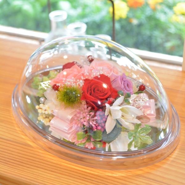 プリザーブドフラワー 飾り方2wayクリアケースドームアレンジメント ピンク 花 ギフト 誕生日 結婚祝い 引越し祝い Buyee Buyee 提供一站式最全面最專業現地yahoo Japan拍賣代bid代拍代購服務 Bot Online