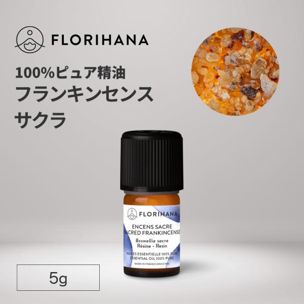 フロリハナ フランキンセンス サクラ 精油 5g アロマオイル エッセンシャルオイル AEAJ 瞑想 香り オリバナム 乳香