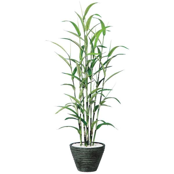 送料無料 人工観葉植物 若竹 器 Pラウンドl Bk フェイクグリーン イミテーション インテリア 和風 造花 天然 竹 お手入れ不要 観葉植物 大型 観葉植物 おしゃれ 観葉植物 インテリア 18ds コンビニ受取対応商品 Ihmc21 Com