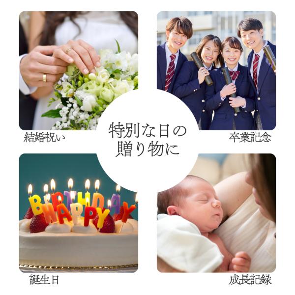 �A���o�� ���� A5 �\��^�C�v �ʐ^ ���{�� �X�N���b�v�u�b�N ���䎆 �t�H�g�A���o�� ����A���o�� DIY ������� �G�R�[�ʐ^ �䎆 ���i�摜2
