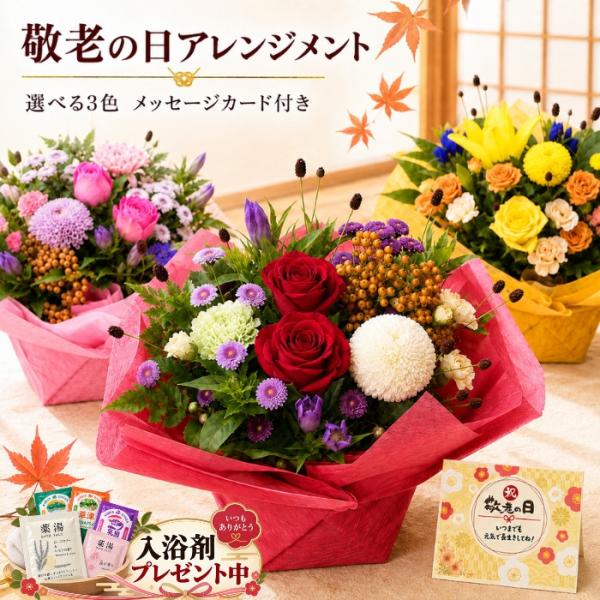 敬老の日 花 ギフト プレゼント 80代 誕生日 2026 送料無料 アレンジメント アレンジ 選べる色合い ラッピング無料