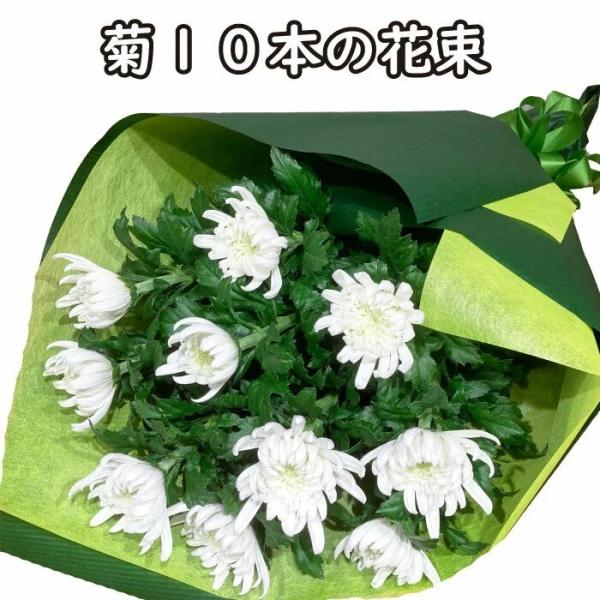商品名菊10本の花束サイズ長さ　約65cm※夏季期間中クール便のご利用の際、長さが短くなる場合がございます。※沖縄・離島にはお送りできませんのでご了承ください。