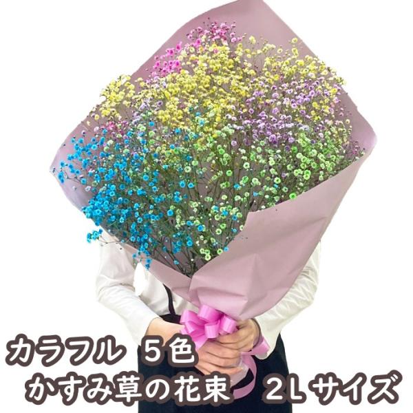 かすみ草 花束 ブーケ レインボー カラフル  2Lサイズ