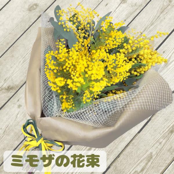 ドライになっても可愛らしいミモザは、心がふっと明るくなる春にぴったりのお花です。3月8日は、イタリアでは「ミモザの日」と呼ばれ、男性が日頃の感謝の気持ちを込めて、妻や恋人、身近な女性へミモザの花を贈る習慣があります。この日、街中が黄色いミモ...