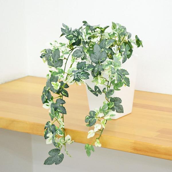 アイビー 鉢 おしゃれの人気商品 通販 価格比較 価格 Com