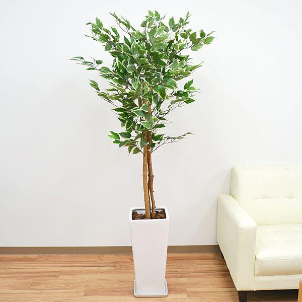 人工観葉植物 斑入りベンジャミン 陶器鉢 フェイクグリーン 造花 