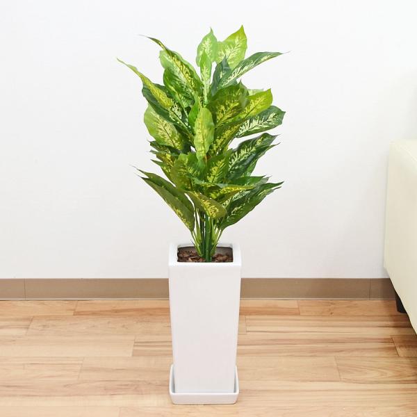 lHϗtA fBtFoLA 픫 tFCNO[   j G}H