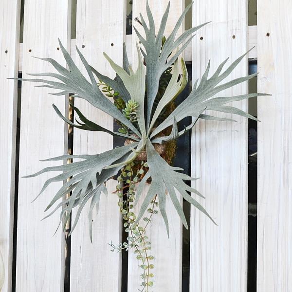 lHϗtA rJNV_ RE tFCNO[ nMO ݂艺 v[gAW  j