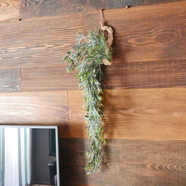 ビカクシダ コウモリランの価格と最安値 おすすめ通販を激安で