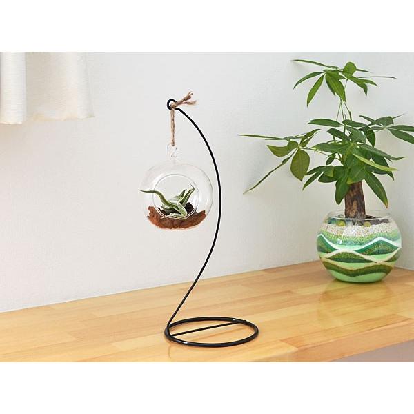 エアープランツ チランジア ハンギング 吊り下げ ガラス ワイヤースタンド付き Buyee 日本代购平台 产品购物网站大全 Buyee一站式代购 Bot Online