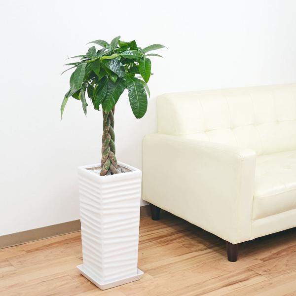 ϗtA ҂݂݃pL  j 7 EF[uXNGA|[픫A