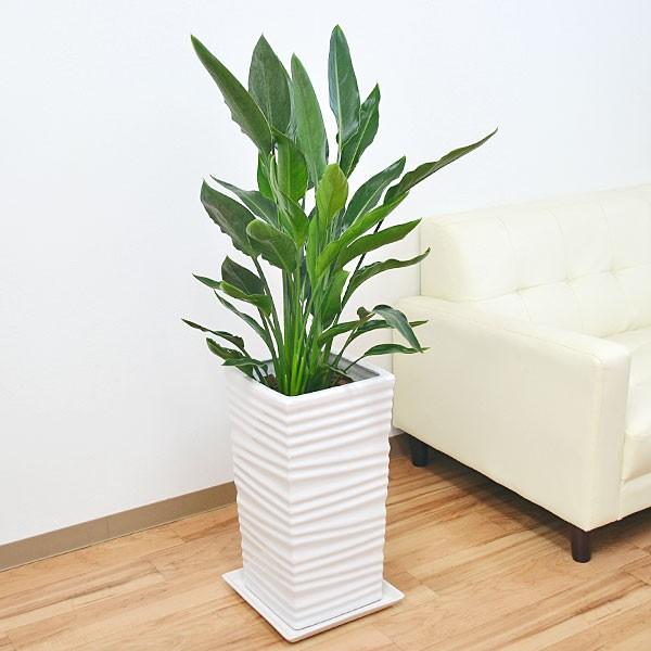 ϗtA Xg`AEMl EF[uXNGA|[픫A o[hIup_CX  ^ j 8TCY