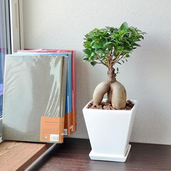 ϗtA KW} K̖  j zCgXNGA픫