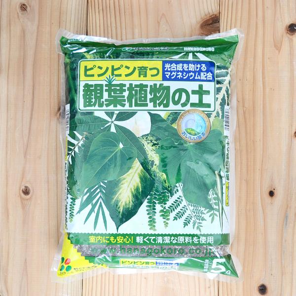 観葉植物の土 5L