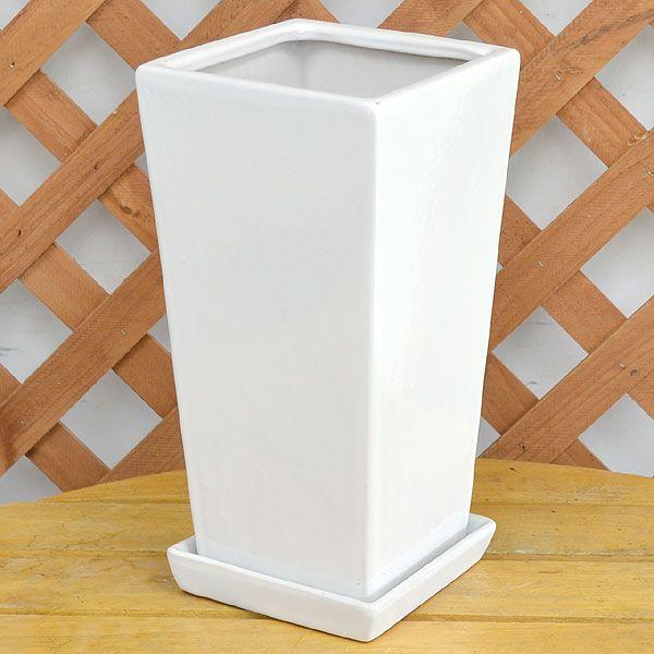 スクエア陶器鉢m ホワイト 6号サイズ Tk フラワーコーポレーション 通販 Yahoo ショッピング