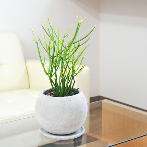 A ϗtA [tHrA ~NubV t@C[XeBbN Zg ی`   j