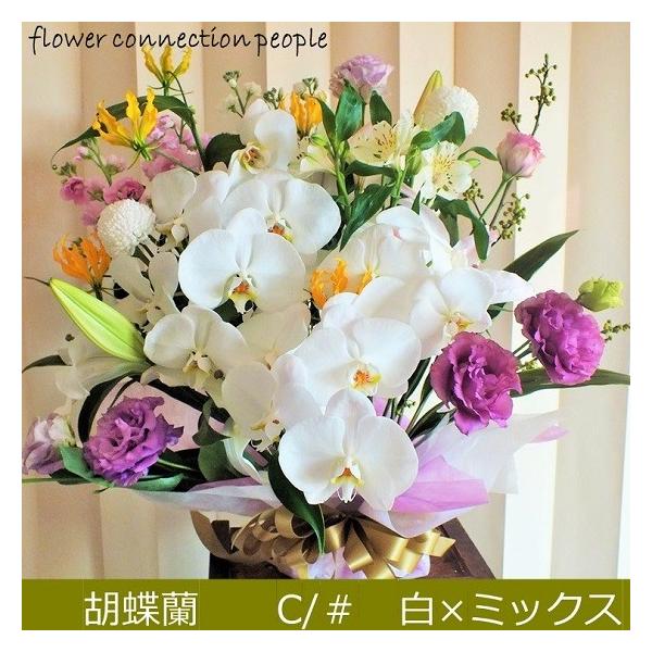 胡蝶蘭 お供え 花 ｌlサイズ お盆 新盆 四十九日 命日 供花 法事 枕花 御仏前 Buyee Buyee Japanese Proxy Service Buy From Japan Bot Online