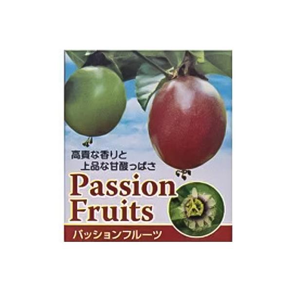 予約販売 パッションフルーツ ポット苗 果樹苗 果実 クダモノトケイソウ 4月下旬以降発送 Buyee Buyee Japanese Proxy Service Buy From Japan Bot Online