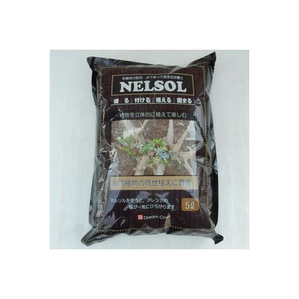  ŗČł܂y l\ 5L A ǖ 