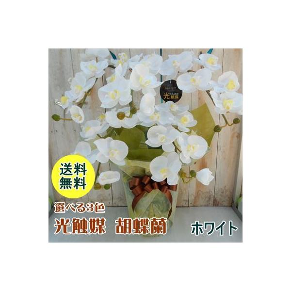 光触媒 胡蝶蘭 造花 消臭 抗菌 ラッピング無料 胡蝶蘭 送料無料 5本立ち インテリア 抗菌 5本立ち 8号鉢 701 001 フラワーネット日本花キ流通