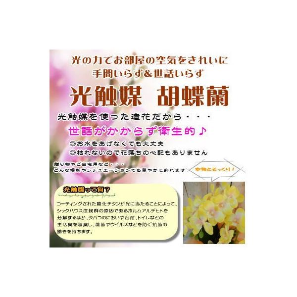 抗菌 インテリア ラッピング無料 胡蝶蘭 造花 インテリア 701 001 フラワーネット日本花キ流通 5本立ち 送料無料 消臭 送料無料 光触媒 ラッピング無料 8号鉢 おすすめ高評価 の
