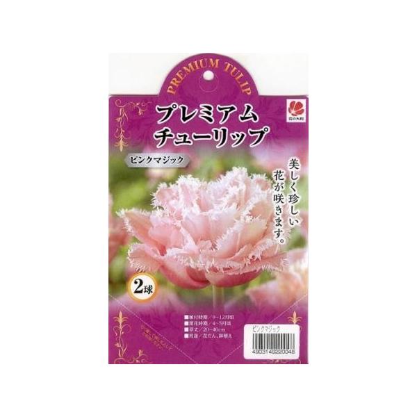 flower-net_801-170724-009