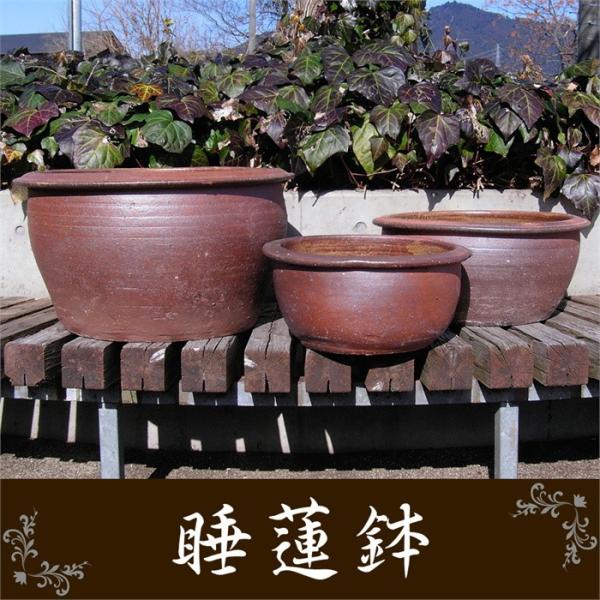 資 丸浅睡蓮鉢B TD-008B 送料無料 睡蓮鉢 kei : フラワーネット日本花