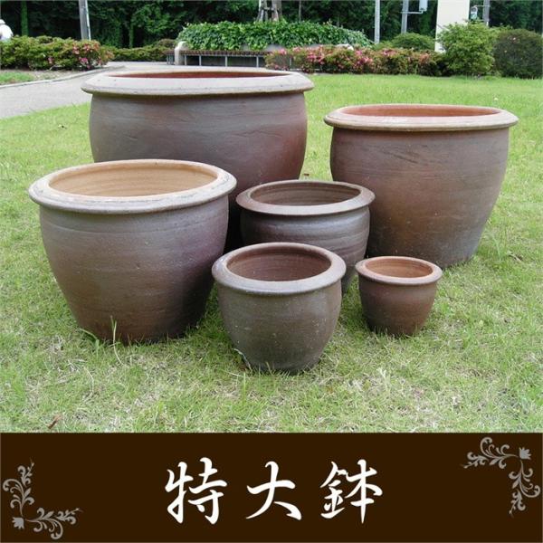 瑠璃色 陶器鉢 3.5号 2個セット ほか 瑠璃色 陶器鉢 3.5号