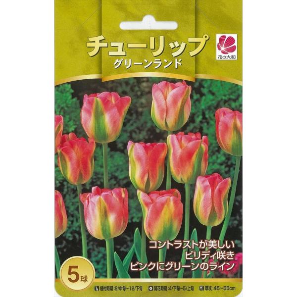 球根 チューリップの人気商品 通販 価格比較 価格 Com